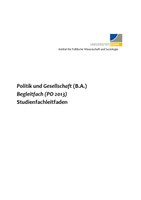 Leitfaden Begleitfach PO2013.pdf